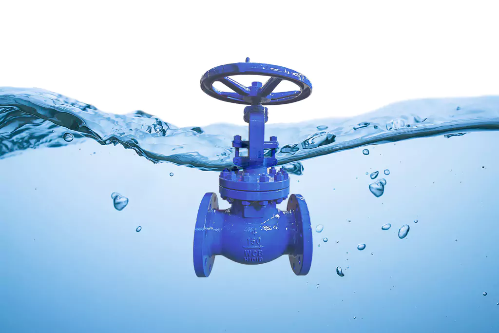 Globe Valves