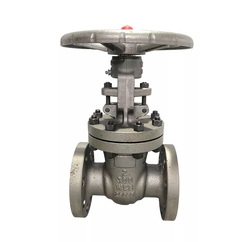 Carbon Gate Valves