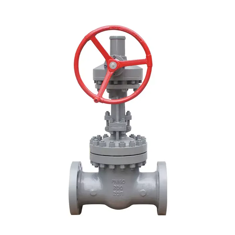 CS Gate Valves