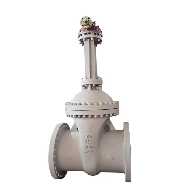 Gear Box Gate Valves