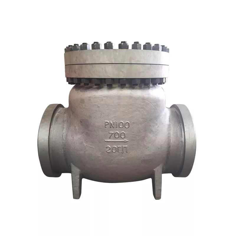 GOST Check Valves