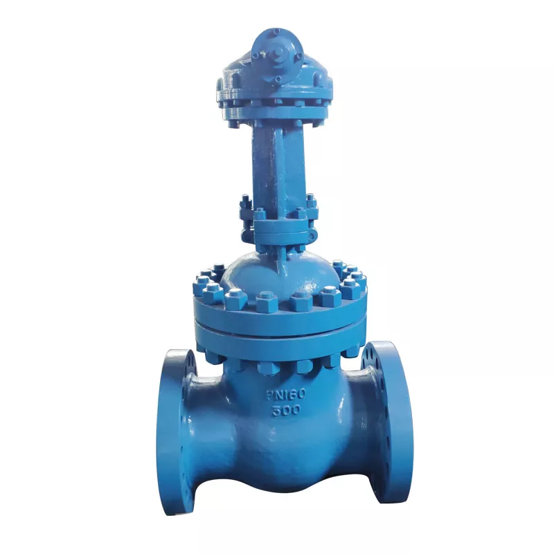 Hard Seal Gate Valves