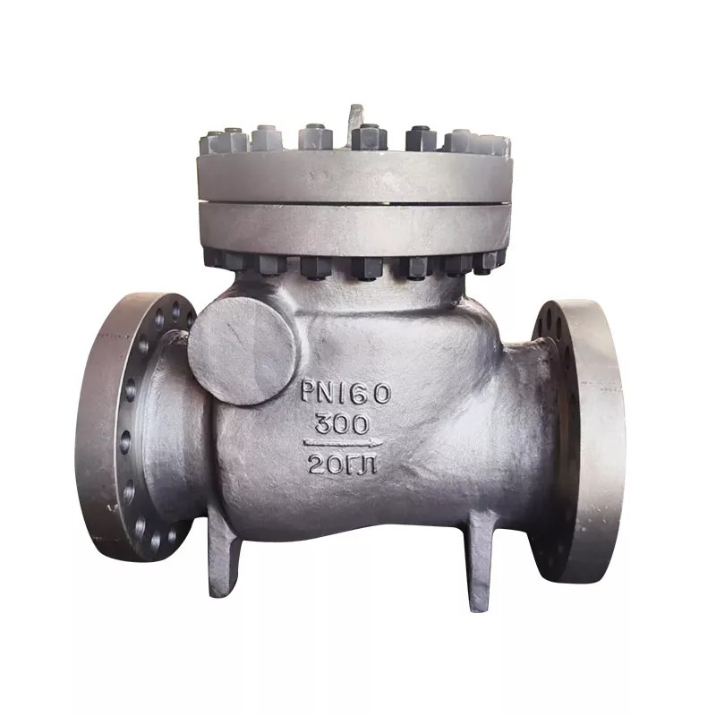 High Pressure Check Valves