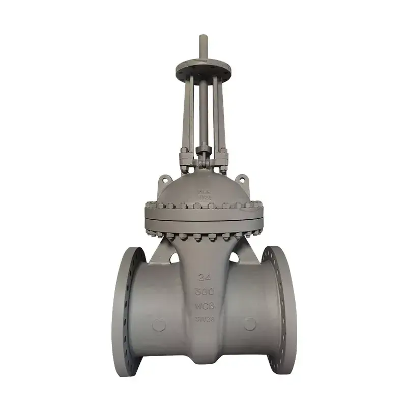 Rising Stem Gate Valves