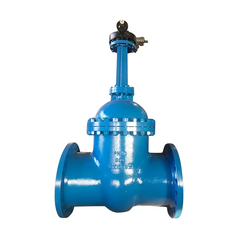 Stainless Steel Gate Valves