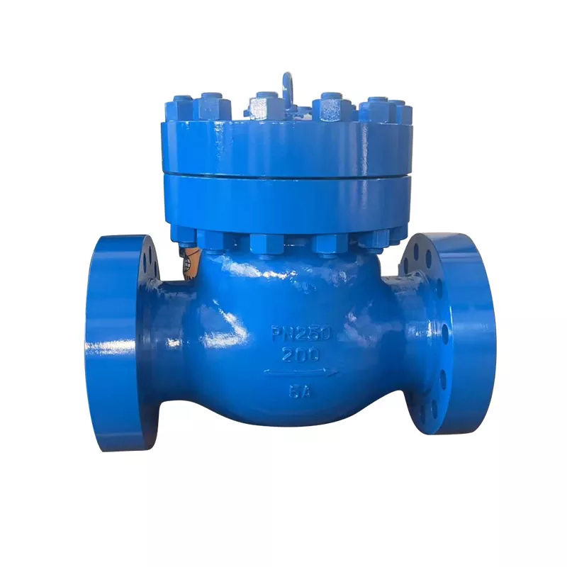 Stainless Steel Swing Check Valves